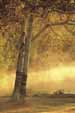 christian-living-2